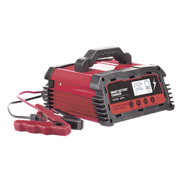 Cargador de Baterías / 12 o 24 Vcc / hasta 250 Ah / 25 A / Display LCD 