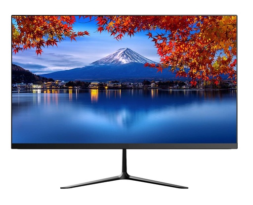 MONITOR FHD 23.8" 100HZ IPS HDMI + VGA GM238Y05