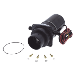 Bomba maceradora Jabsco 37041-0010 12V para inodoro