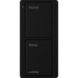 Control inalámbrico Lutron Pico PJ2-2B-TMN-P01 2 botones