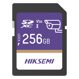 Memoria SD HIKSEMI HS-SD-P10/256G/GUARDPRO 256GB Clase 10