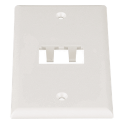 Placa de pared Panduit CFP2IW 2 puertos Mini-Com blanco mate