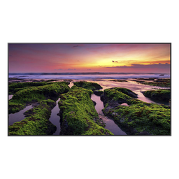Pantalla profesional Samsung QB55C 55" 4K Tizen
