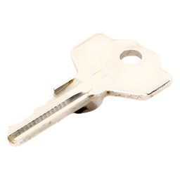 Llave codificada CAME 88003-0064 KA9233 para barrera GT4