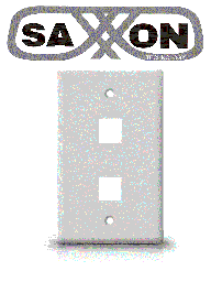 Placa de pared SAXXON A1752A 2 puertos keystone blanca