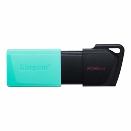 Memoria USB Kingston Exodia M DTXM/256GB 256GB USB 3.2