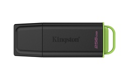 Memoria USB Kingston DataTraveler Exodia G2 DTXG2/256GB