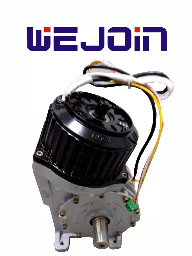 Motor para barrera vehicular Wejoin WJCB01VFBMI 24VDC 240W